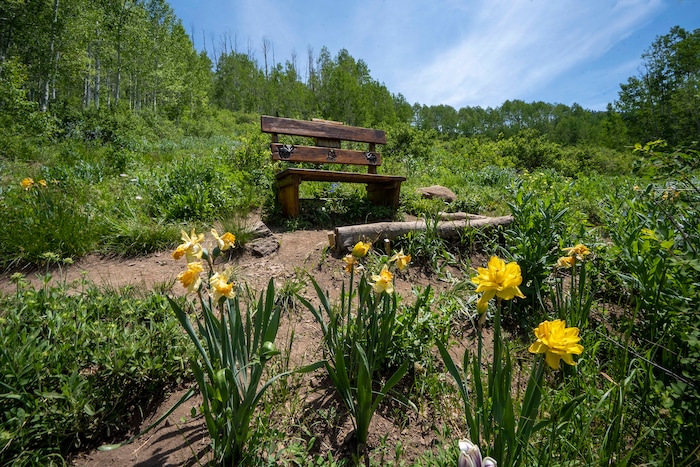(Rick Egan | The Salt Lake Tribune) The Willow Heights bench on the Willow Heights Bench hike in Big Cottonwood Canyon, on Wednesday, June 16, 2021.