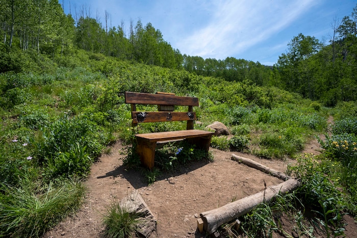 (Rick Egan | The Salt Lake Tribune) The Willow Heights bench on the Willow Heights Bench hike in Big Cottonwood Canyon, on Wednesday, June 16, 2021.
