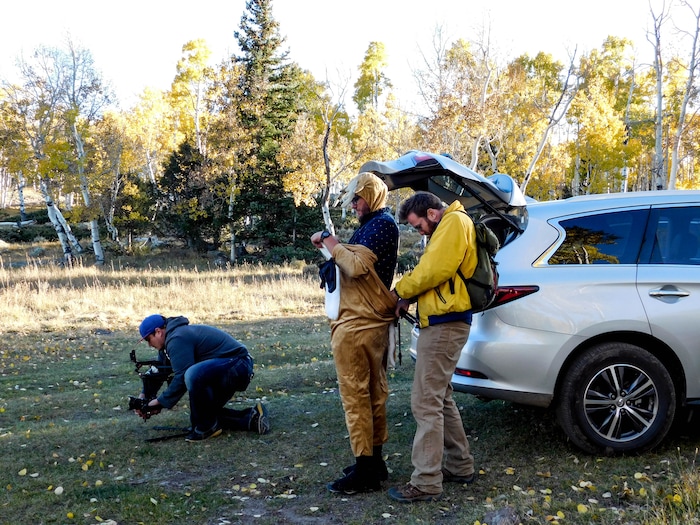 (Erin Alberty  |  The Salt Lake Tribune) Comedians Brad Einstein helps Kyle Niemer put on a deer costume to shoot comedy sketches about ecology — or "silly bits in the woods," as Einstein calls them — with videographer Dave Thomas on Oct. 5, 2017 at the Pando aspen clone in Sevier County.