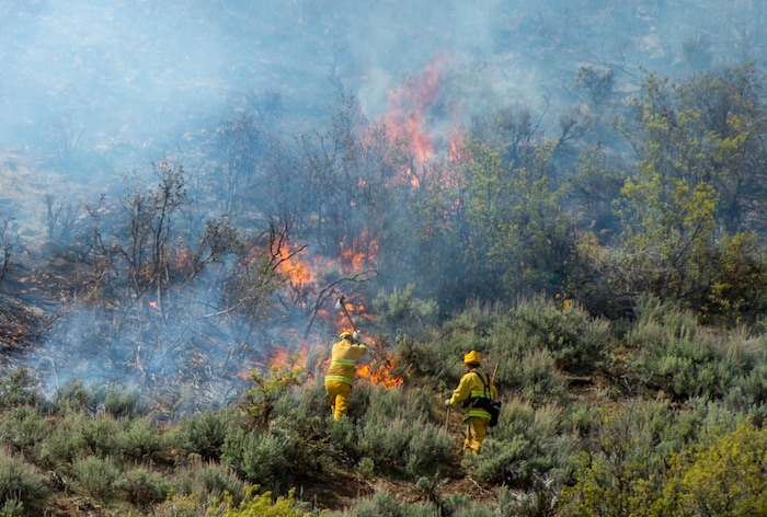 (Rick Egan | The Salt Lake Tribune) Firefighters battle a fire near the Dutch Canyon Road in Midway, Tuesday May 12, 2020