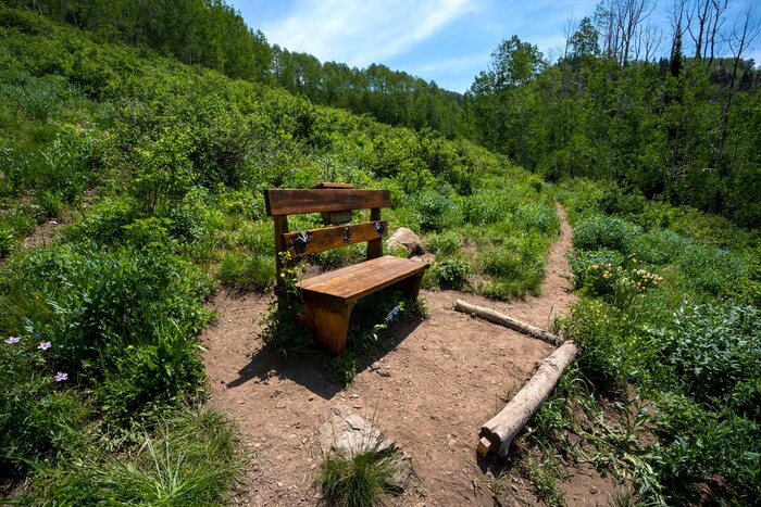 (Rick Egan | The Salt Lake Tribune) The Willow Heights bench on the Willow Heights Bench hike in Big Cottonwood Canyon, on Wednesday, June 16, 2021.