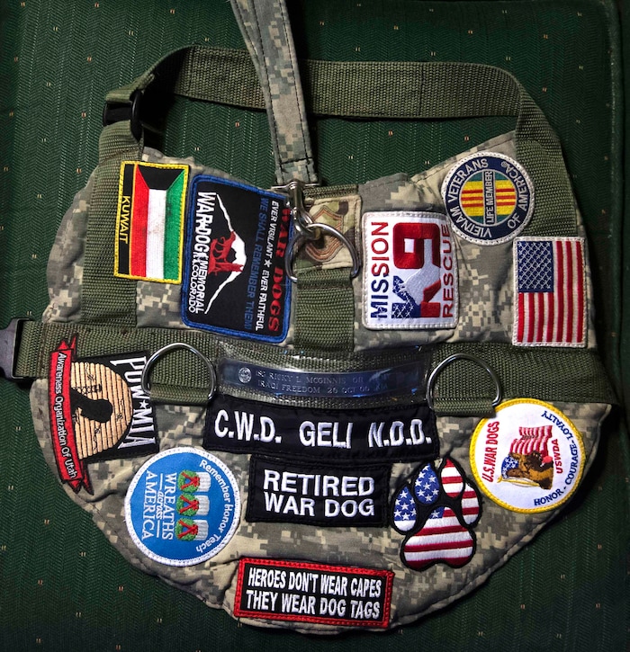 (Rick Egan | The Salt Lake Tribune) A vest worn by Geli, a veteran military canine who was rescued from Kuwait, is photographed Wednesday, Aug. 28, 2019. The dogs were rescued part of an effort to save dogs abandoned by the U.S. military after their handlers return home from duty.