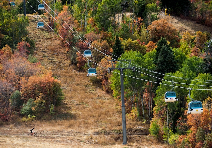 (Rick Egan  |  The Salt Lake Tribune)   A cyclist rides under the Needle gondola,  at Snowbasin resort, Sunday, Sept. 23, 2018.