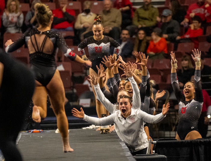 (Rick Egan | The Salt Lake Tribune)  Utah cheers after Ella Zirbes performance on the vault, as the Red Rocks vs. LSU, Oklahoma and UCLA at the Maverik Center, on Saturday, Jan. 13, 2024.
