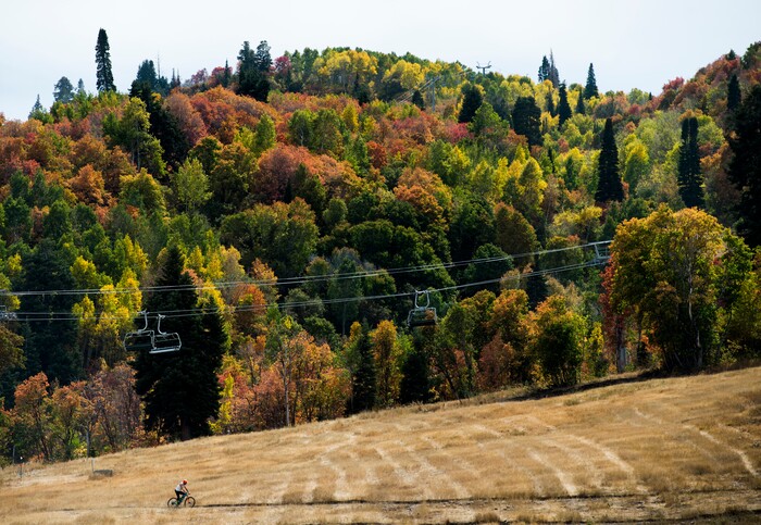 (Rick Egan  |  The Salt Lake Tribune)   A cyclist rides along a trail at Snowbasin resort, Sunday, Sept. 23, 2018.