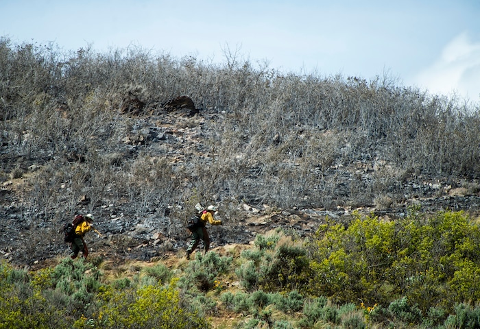(Rick Egan | The Salt Lake Tribune) Firefighters hike up the hill to fight the fire near the Dutch Canyon Road in Midway, Tuesday May 12, 2020