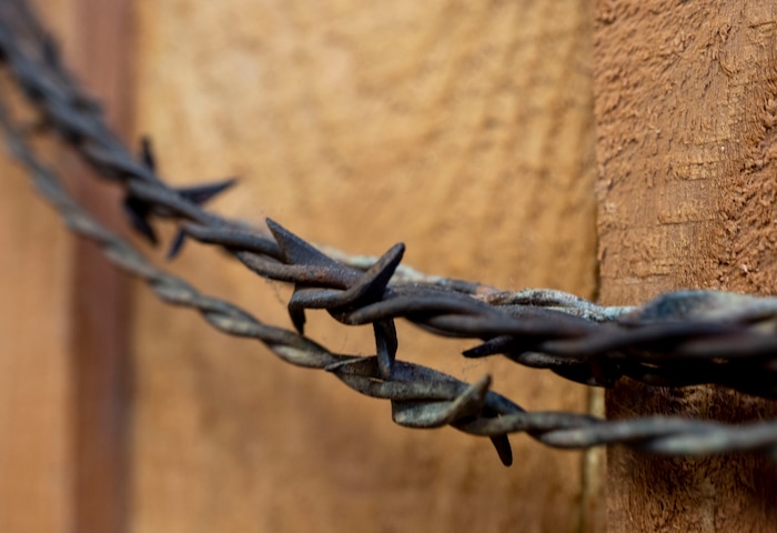 (Rick Egan | The Salt Lake Tribune)  Sydney's restaurant in Mantua, has one of the largest collections of barbed wire in the nation, Tuesday, Aug. 17, 2021.